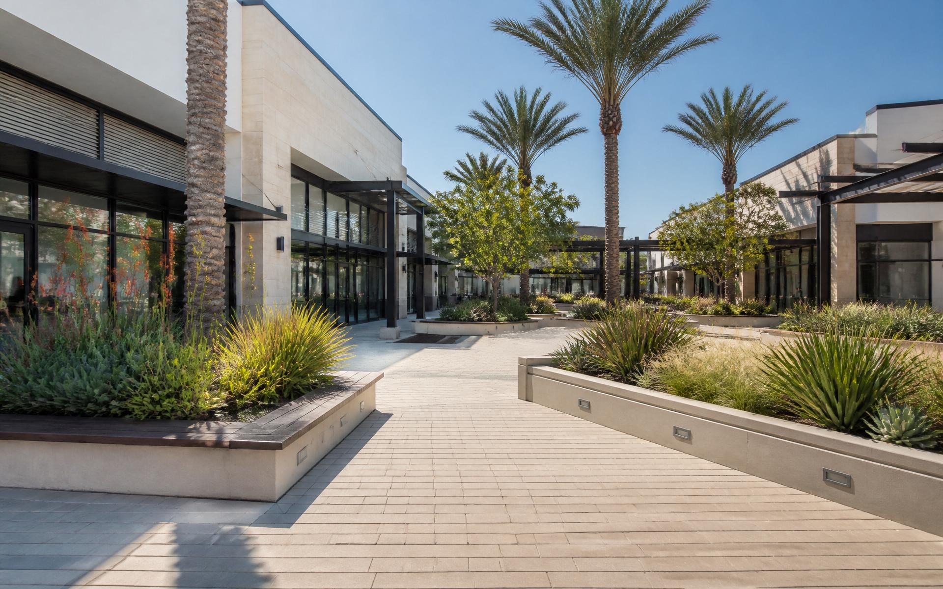 Mixed-use retail plaza with structured planting, concrete pavers and palms, representative imagery